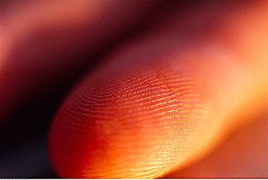 《名利场：我被好莱坞美女潜规则》新预告 选洋媳妇